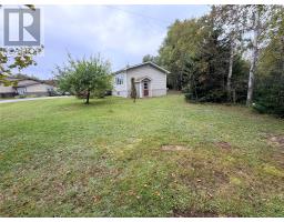 14 Treeview Lane thumbnail 29