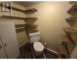 954 Cashin Crescent thumbnail 39
