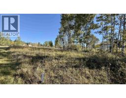 Lot 2 Telqua Drive, 100 Mile House, BC V0K2Z0 Photo 6