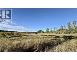 Lot 2 Telqua Drive, 100 Mile House, BC V0K2Z0 Photo 9