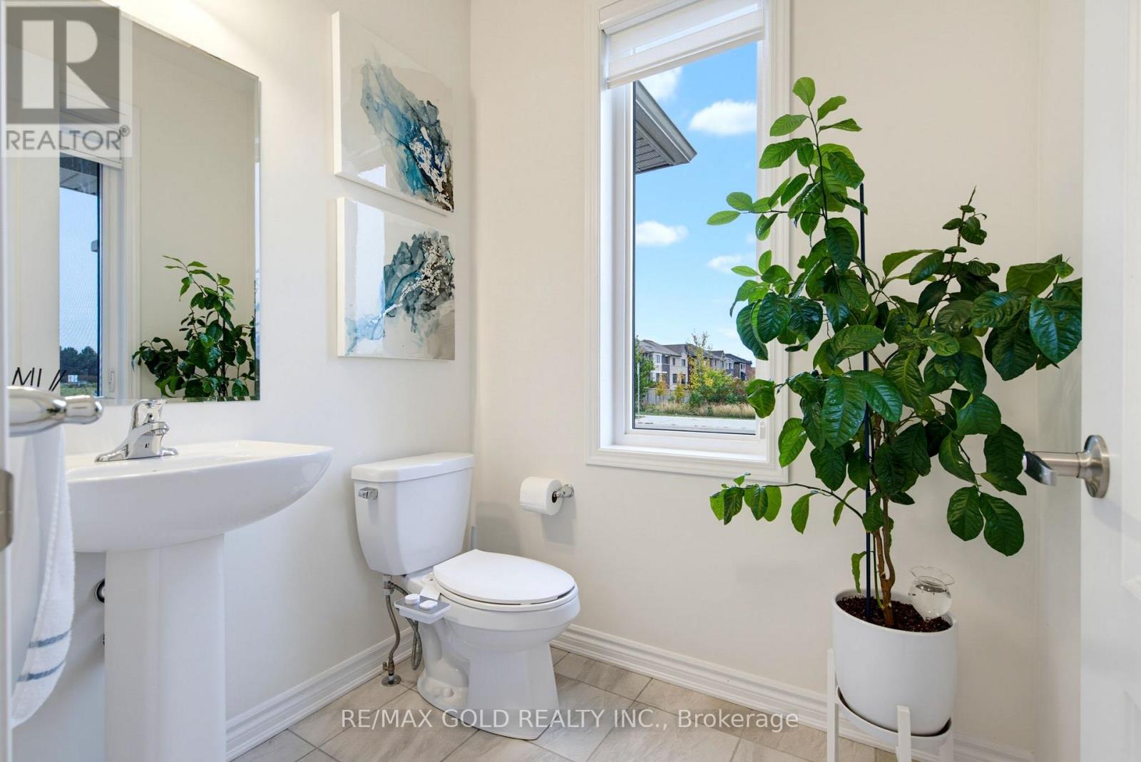 53 AFFUSION ROAD - 15
