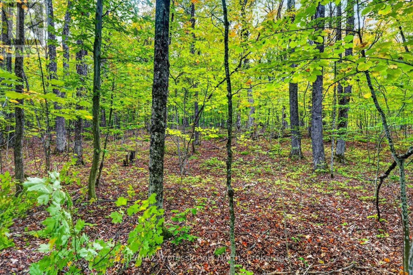 1102 PARALLEL FALLS LANE - Image 39