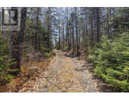 616 Lac A Pic Road, Quinan, NS B0W3M0 Photo 46