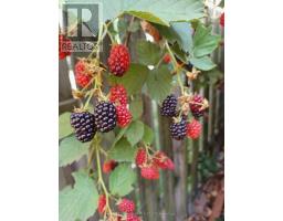 122 Barrydale Crescent, London North, ON N6G2X6 Photo 48