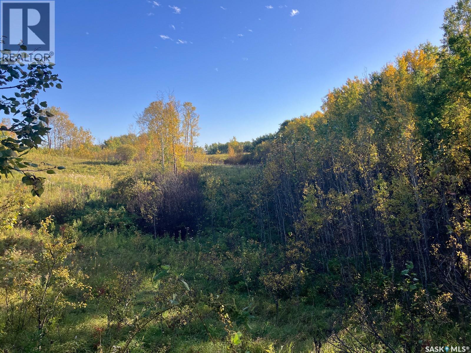 Morley Acreage 108.89 acres - 51