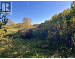 Morley Acreage 108.89 Acres, Nipawin Rm No  487, SK S0E1E0 Photo 51