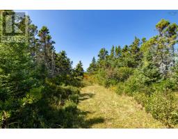 Lot 2, Highway 1, Beaver River, NS B5A4A5 Photo 10