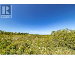 Lot 2, Highway 1, Beaver River, NS B5A4A5 Photo 13