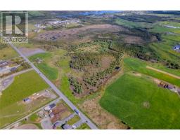 97 Ruby Line, St  John S, NL A1G1P9 Photo 6