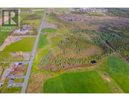 97 Ruby Line, St  John S, NL A1G1P9 Photo 7
