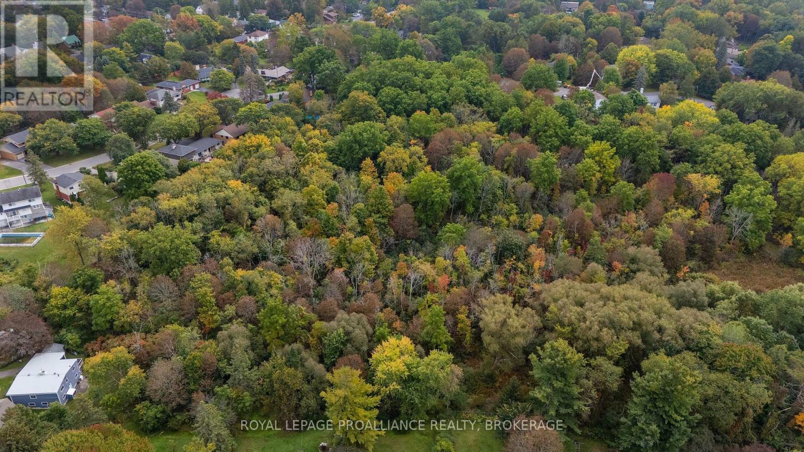 151 HAWTHORNE AVENUE - 37