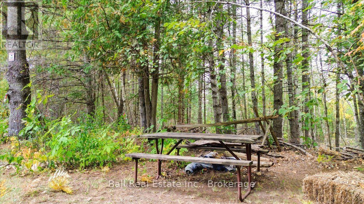 N/A Coon Lake Road, North Kawartha, ON photo 26