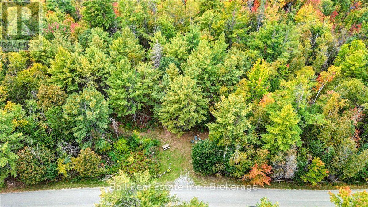 N/A Coon Lake Road, North Kawartha, ON photo 29