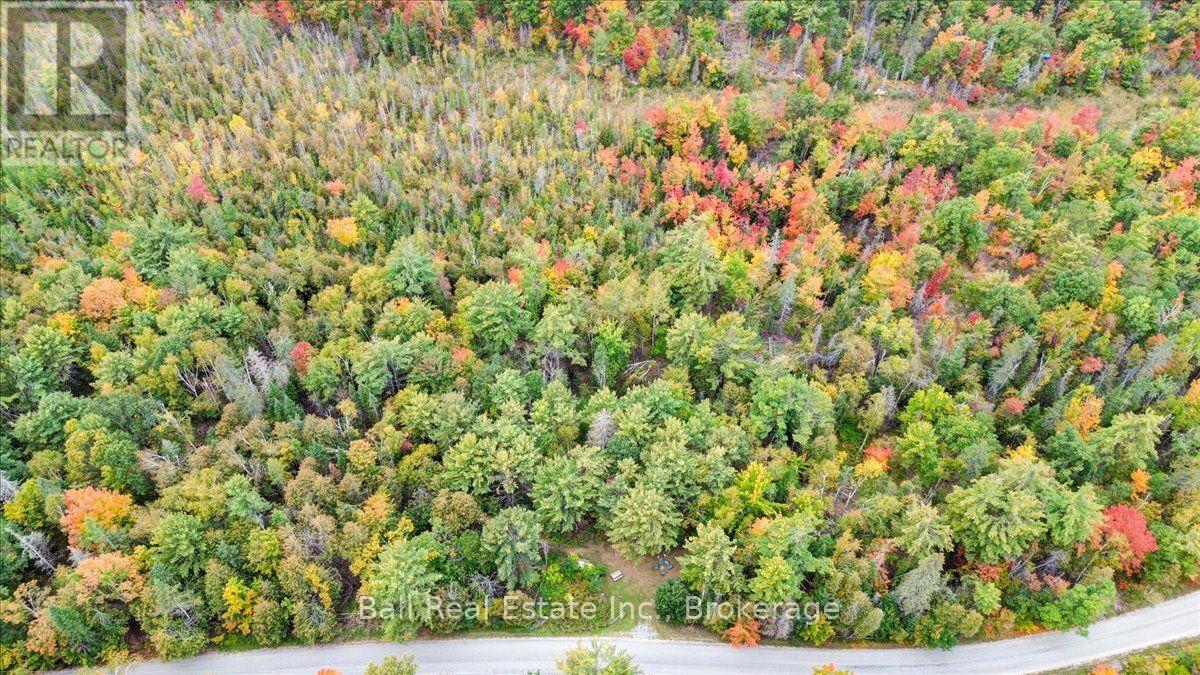 N/A Coon Lake Road, North Kawartha, ON photo 30