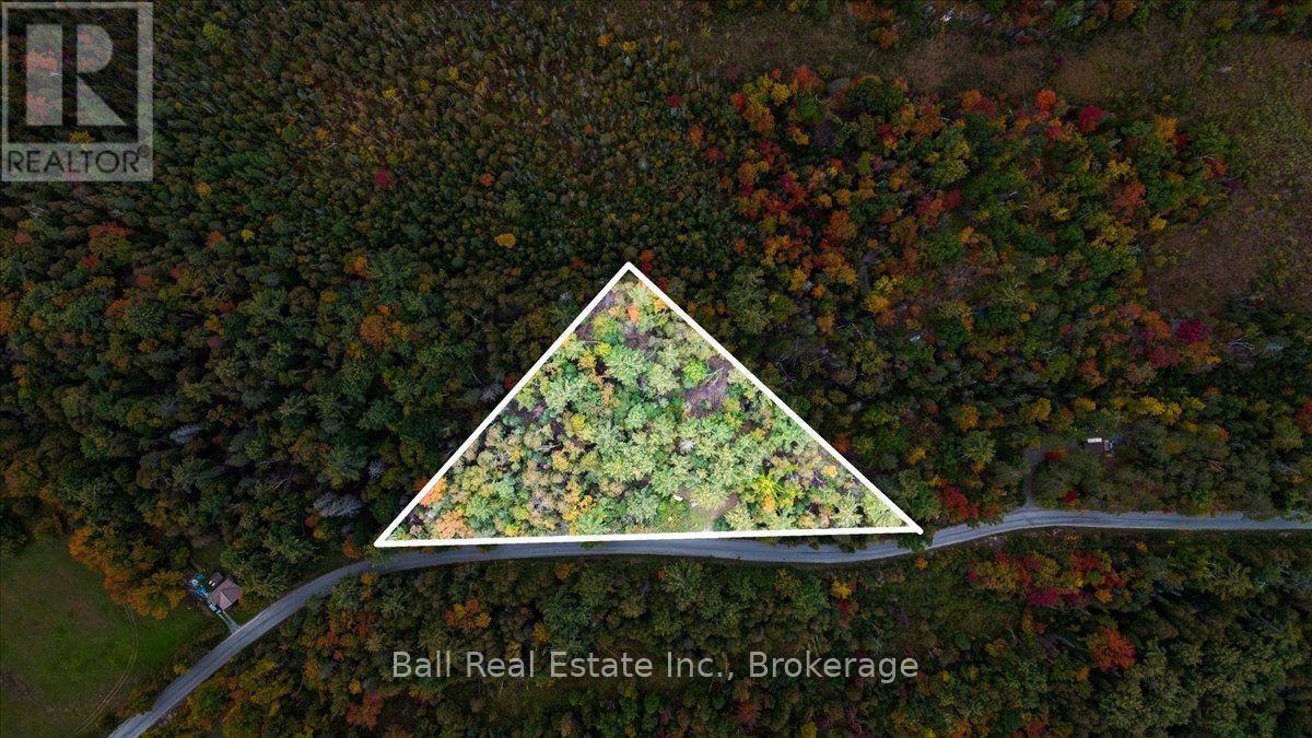 N/A Coon Lake Road, North Kawartha, ON photo 32