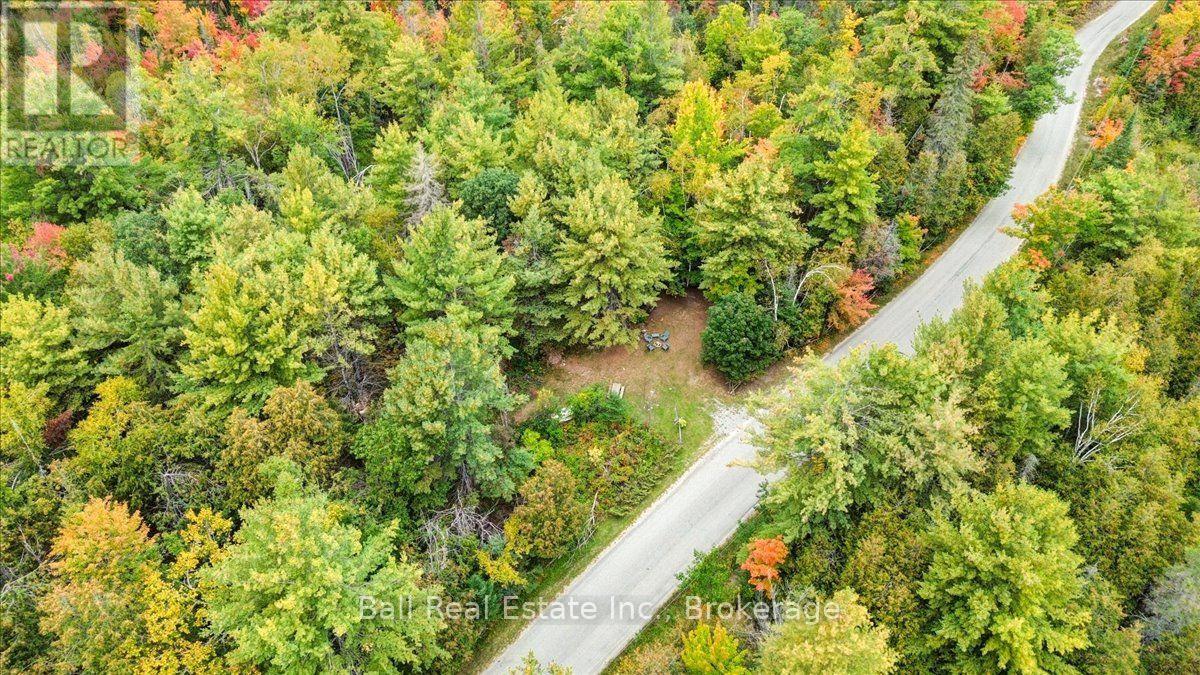 N/A Coon Lake Road, North Kawartha, ON photo 38