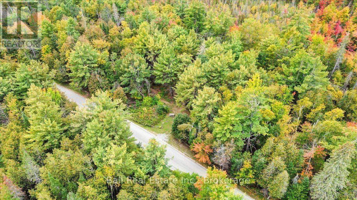 N/A Coon Lake Road, North Kawartha, ON photo 39