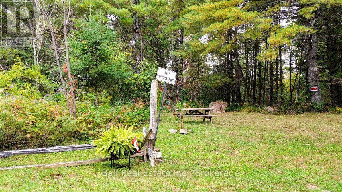 N/A Coon Lake Road, North Kawartha, ON photo 40