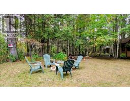 N/a Coon Lake Road, North Kawartha, ON K0L1A0 Photo 10