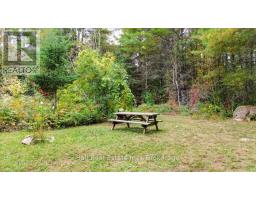 N/a Coon Lake Road, North Kawartha, ON K0L1A0 Photo 11