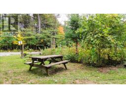 N/a Coon Lake Road, North Kawartha, ON K0L1A0 Photo 12