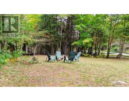 N/a Coon Lake Road, North Kawartha, ON K0L1A0 Photo 13