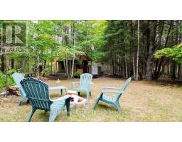 N/a Coon Lake Road, North Kawartha, ON K0L1A0 Photo 14