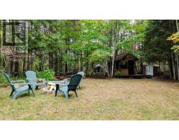 N/a Coon Lake Road, North Kawartha, ON K0L1A0 Photo 15