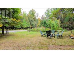 N/a Coon Lake Road, North Kawartha, ON K0L1A0 Photo 16