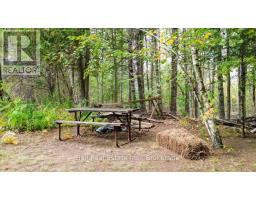 N/a Coon Lake Road, North Kawartha, ON K0L1A0 Photo 17