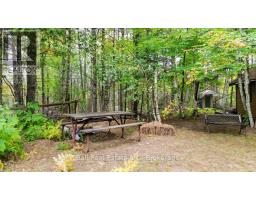 N/a Coon Lake Road, North Kawartha, ON K0L1A0 Photo 19