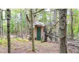N/a Coon Lake Road, North Kawartha, ON K0L1A0 Photo 21