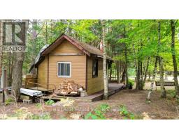 N/a Coon Lake Road, North Kawartha, ON K0L1A0 Photo 22