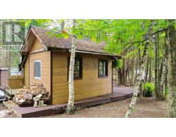N/a Coon Lake Road, North Kawartha, ON K0L1A0 Photo 23