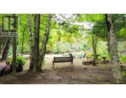 N/a Coon Lake Road, North Kawartha, ON K0L1A0 Photo 24