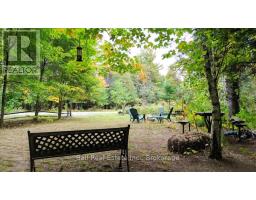 N/a Coon Lake Road, North Kawartha, ON K0L1A0 Photo 25