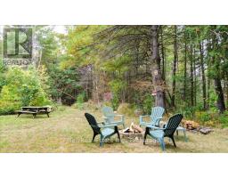 N/a Coon Lake Road, North Kawartha, ON K0L1A0 Photo 27