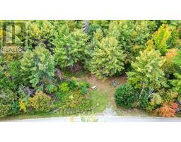 N/a Coon Lake Road, North Kawartha, ON K0L1A0 Photo 28