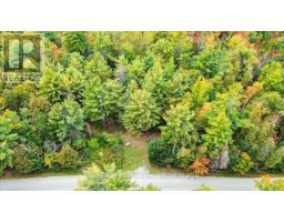 N/a Coon Lake Road, North Kawartha, ON K0L1A0 Photo 29