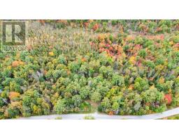 N/a Coon Lake Road, North Kawartha, ON K0L1A0 Photo 30