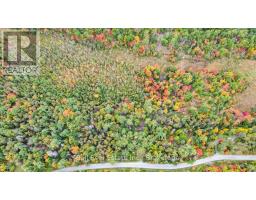 N/a Coon Lake Road, North Kawartha, ON K0L1A0 Photo 31