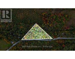 N/a Coon Lake Road, North Kawartha, ON K0L1A0 Photo 32