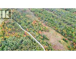 N/a Coon Lake Road, North Kawartha, ON K0L1A0 Photo 33