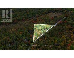 N/a Coon Lake Road, North Kawartha, ON K0L1A0 Photo 34