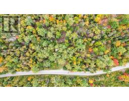 N/a Coon Lake Road, North Kawartha, ON K0L1A0 Photo 35