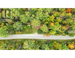 N/a Coon Lake Road, North Kawartha, ON K0L1A0 Photo 36