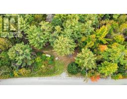 N/a Coon Lake Road, North Kawartha, ON K0L1A0 Photo 37