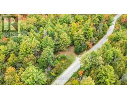 N/a Coon Lake Road, North Kawartha, ON K0L1A0 Photo 38