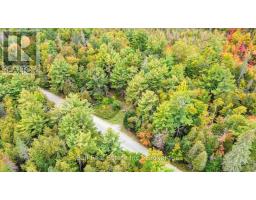 N/a Coon Lake Road, North Kawartha, ON K0L1A0 Photo 39