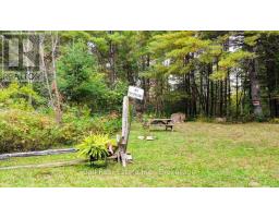 N/a Coon Lake Road, North Kawartha, ON K0L1A0 Photo 40